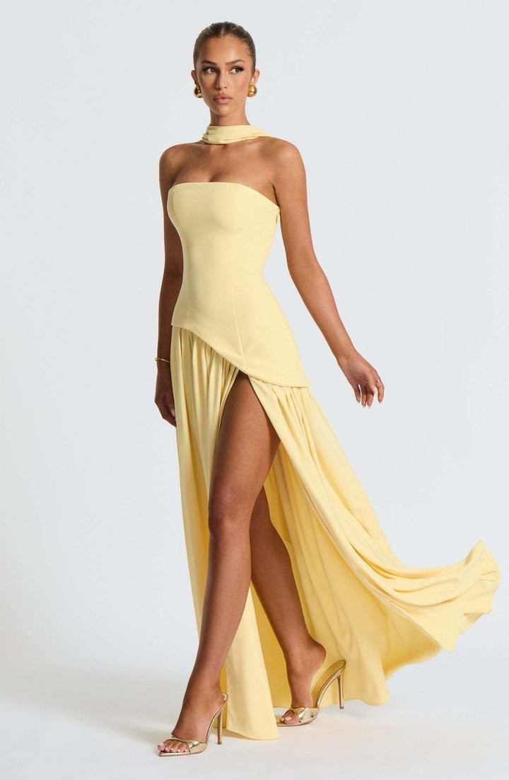 Tracy - Sophisticated Long Dress